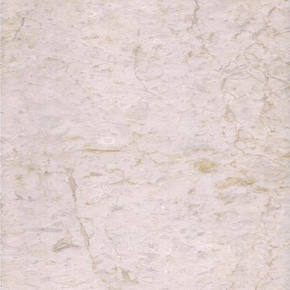 Piedra de mármol fosilífero beige para aplicación en interiores.