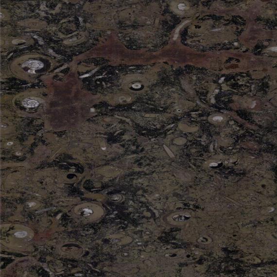 Piedra de mármol única para una casa de lujo.