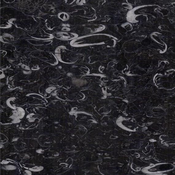 Mármol fosilífero exclusivo para edificios sofisticados