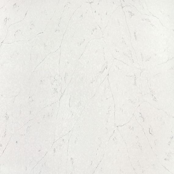 Cuarzo con patrón y textura fosilífera