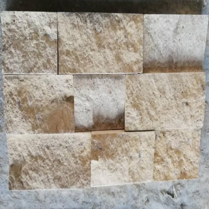 Mosaico rupestre (4)