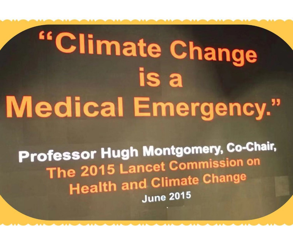 Observaciones de Angela. Realidad climática: Diseño para un clima cambiante y la agricultura: Incorporando la agricultura urbana y el diseño arquitectónico moderno.